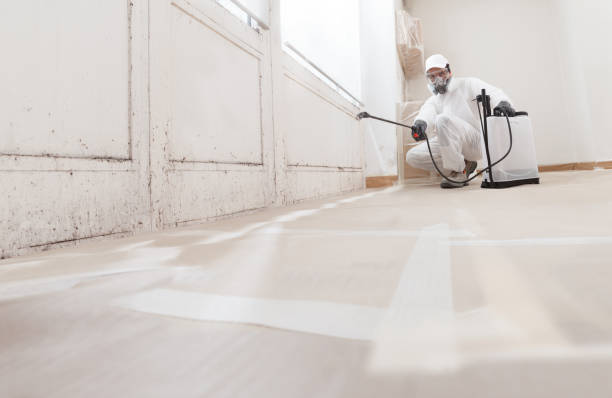 24/7 Emergency Basement Mold Remediation experts in Dublin, PA