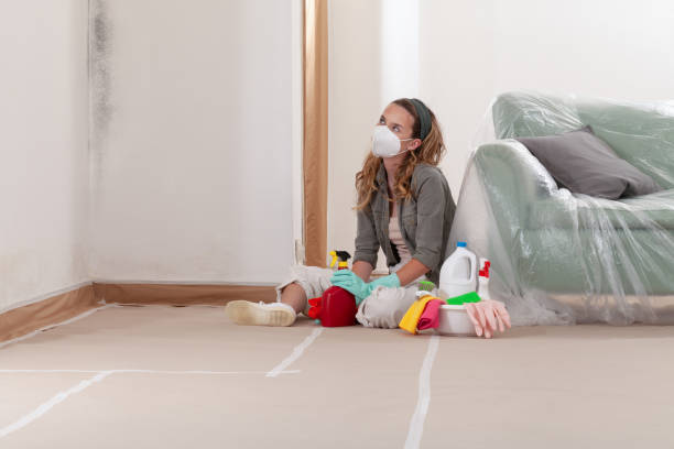 Reliable Basement Mold Remediation contractor in Dublin, PA by Mold Remediation HQ